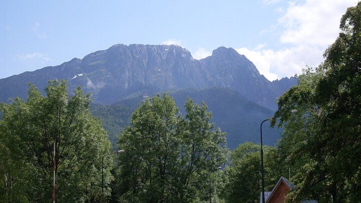 Archiwalny widok na Giewont z Zakopanego, z drzewami i zabudową na pierwszym planie.
