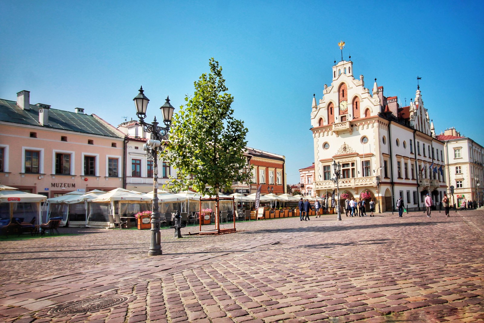 Rzeszowski rynek i ratusz na zdjęciu miasta